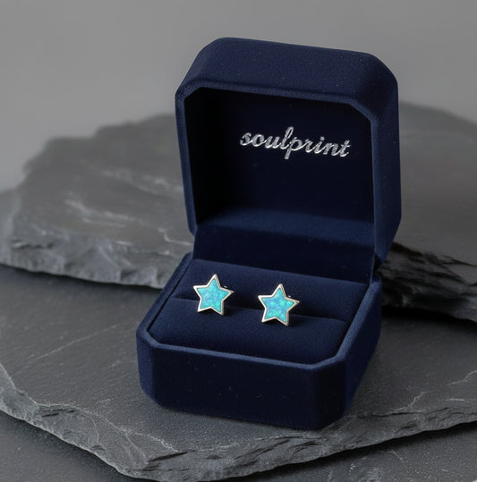 Star Memorial Earrings