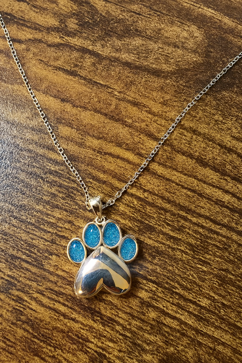 Paw Locket Memorial Necklace